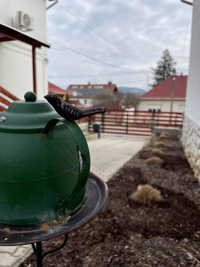 Ezuest Boroka Apartman Eger Bagian luar foto